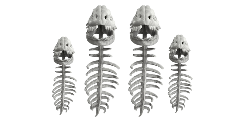 Dinosaur Skeleton Plush Merch
